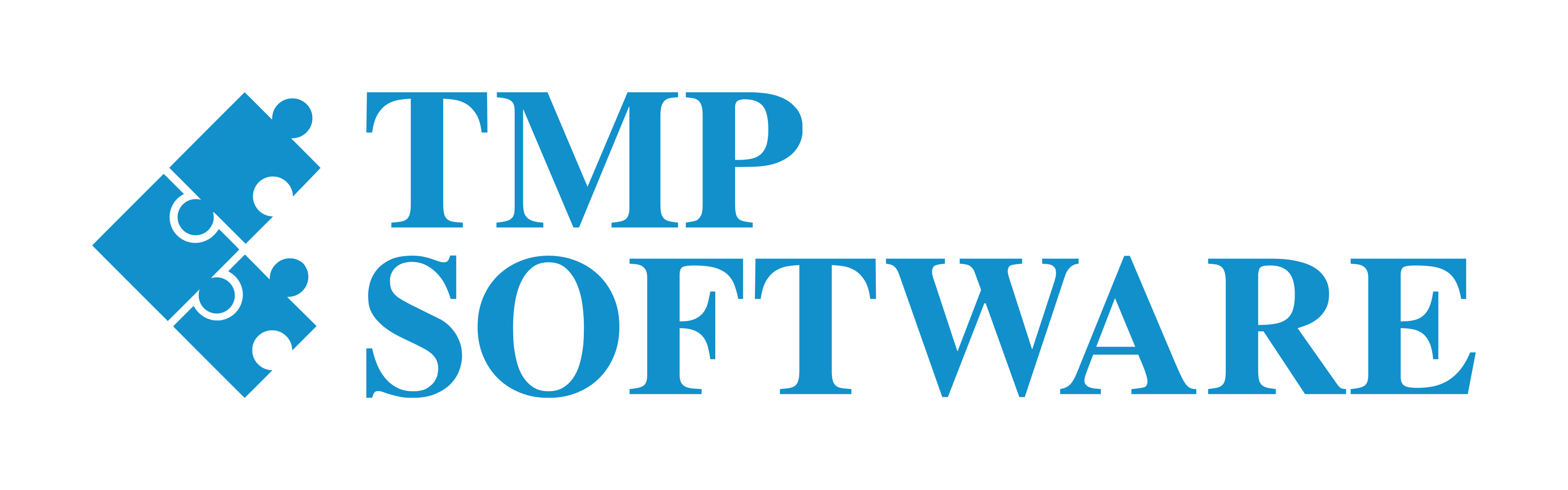 TMP Software Logo